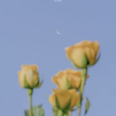 722cc彩票手机app下载